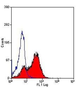DPPIV/CD26 Antibody (H207-1082) - BSA Free 0.125 mg; Unconjugated:Antibodies,