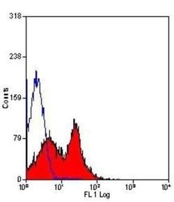 DPPIV/CD26 Antibody (H207-1082) - BSA Free 0.125 mg; Unconjugated:Antibodies,