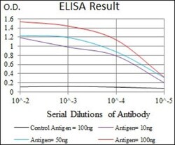 Dynein light chain 4 Antibody (3C10A4) - BSA Free, Novus Biologicals 0.025