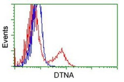 Dystrobrevin alpha Antibody (OTI1B2), Novus Biologicals 0.1mL; Unlabeled:Antibodies,