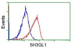 EEN Antibody (OTI2F5), Novus Biologicals 0.1mL; Unlabeled:Antibodies, Monoclonal