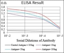 EGFR Antibody (5E10D3) - BSA Free, Novus Biologicals 0.1mL; Unlabeled:Antibodies,