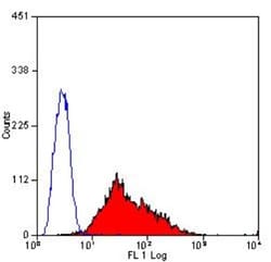EMMPRIN/CD147 Antibody (OX114) - BSA Free, Novus Biologicals 0.025 mg;
