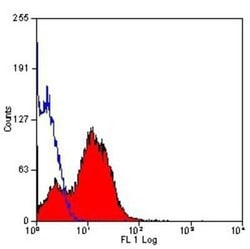 EMMPRIN/CD147 Antibody (OX114) - BSA Free, Novus Biologicals 0.025 mg;