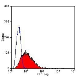 EMMPRIN/CD147 Antibody (OX114) - BSA Free, Novus Biologicals 0.025 mg;