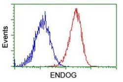 Endo G Antibody (OTI5F1), Novus Biologicals 0.1mL; Unlabeled:Antibodies,