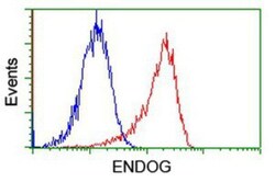 Endo G Antibody (OTI5F1), Novus Biologicals 0.1mL; Unlabeled:Antibodies,