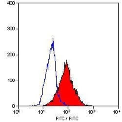 Endoglin/CD105 Antibody (SN6) - BSA Free, Novus Biologicals:Antibodies:Primary