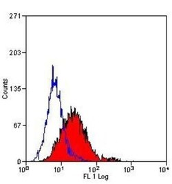 Endoglin/CD105 Antibody (SN6) - BSA Free, Novus Biologicals:Antibodies:Primary