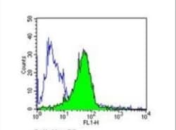 Endothelin-1 Antibody (TR.ET.48.5) - BSA Free, Novus Biologicals 0.025