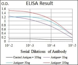 Enolase 2/Neuron-specific Enolase Antibody (5D3) - BSA Free, Novus Biologicals