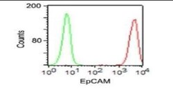 EpCAM/TROP1 Antibody (VU-1D9) - Azide and BSA Free, Novus Biologicals 0.1 mg | Buy Online | Novus Biologicals | Fisher Scientific