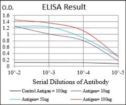 Epsilon 1 Tubulin Antibody (7G3B2) - BSA Free, Novus Biologicals 0.1mL;