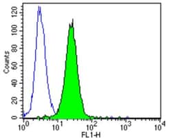 ErbB4/Her4 Antibody (H4.77.16 (Ab77)), Novus Biologicals 0.1mL; Unlabeled:Antibodies,