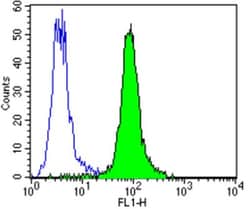 ErbB4/Her4 Antibody (H4.77.16 (Ab77)), Novus Biologicals 0.1mL; Unlabeled:Antibodies,