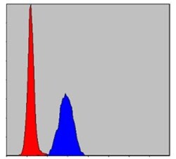 ERK1 Antibody (1E5), Novus Biologicals 0.1mL; Unlabeled:Antibodies, Monoclonal