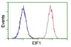 Eukaryotic translation initiation factor 1 Antibody (OTI2B9), Novus Biologicals 0.1 mL | Buy Online | Novus Biologicals | Fisher Scientific