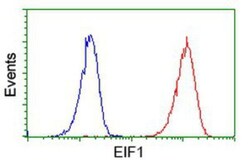 Eukaryotic translation initiation factor 1 Antibody (OTI2B9), Novus Biologicals 0.1 mL | Buy Online | Novus Biologicals | Fisher Scientific