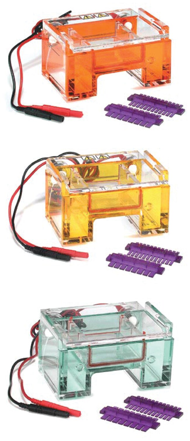 Thermo Scientific Owl Separation B1A EasyCast Mini Gel Electrophoresis