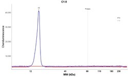 FABP4/A-FABP Antibody, Novus Biologicals 0.1mL; Unlabeled:Antibodies, Polyclonal