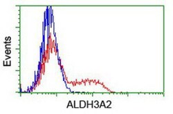 FALDH Antibody (OTI2A7), Novus Biologicals 0.1mL; Unlabeled:Antibodies,