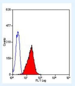 Fas Ligand/TNFSF6 Antibody (14C2) - BSA Free, Novus Biologicals:Antibodies:Primary