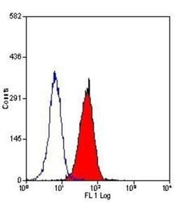Fas Ligand/TNFSF6 Antibody (14C2) - BSA Free, Novus Biologicals:Antibodies:Primary