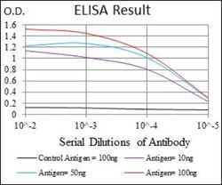 FATP2/SLC27A2 Antibody (6B3A9) - BSA Free, Novus Biologicals 0.1mL; Unlabeled:Antibodies,