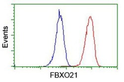 FBXO21 Antibody (OTI2C7), Novus Biologicals 0.1mL; Unlabeled:Antibodies,