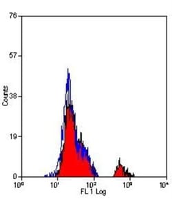 Fc epsilon RI Antibody (9E1) - BSA Free, Novus Biologicals:Antibodies:Primary