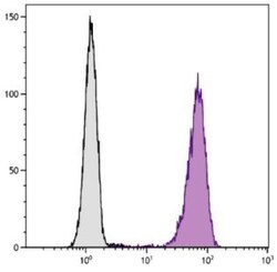 Fc gamma RIIIA/CD16a Antibody (GRM1), Novus Biologicals 0.1mg; Unlabeled:Antibodies,