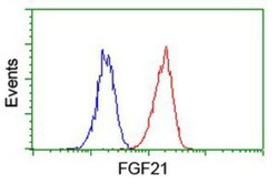 FGF-21 Antibody (OTI2F10), Novus Biologicals 0.1mL; Unlabeled:Antibodies,