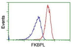 FKBPL Antibody (OTI2D8), Novus Biologicals 0.1mL; Unlabeled:Antibodies,