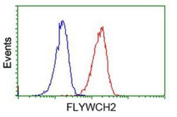 FLYWCH2 Antibody (OTI3G3), Novus Biologicals 0.1mL; Unlabeled:Antibodies,