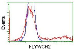 FLYWCH2 Antibody (OTI3G3), Novus Biologicals 0.1mL; Unlabeled:Antibodies,