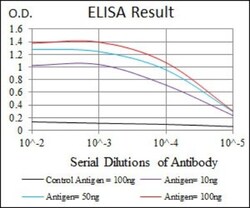 Frizzled-5 Antibody (2D12) - BSA Free, Novus Biologicals 0.1mL; Unlabeled:Antibodies,