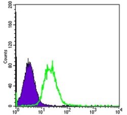 Fyn Antibody (2A10), Novus Biologicals 0.1mL; Unlabeled:Antibodies, Monoclonal