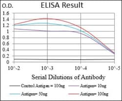 GABA-B R2 Antibody (5G7F7) - BSA Free, Novus Biologicals:Antibodies:Primary
