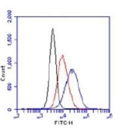 Histone H2AX, p Ser139 Antibody, Novus Biologicals 0.1mL; Unlabeled:Antibodies,