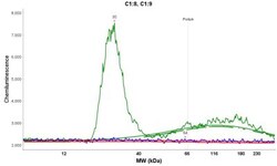 Histone H2AX, p Ser139 Antibody, Novus Biologicals 0.1mL; Unlabeled:Antibodies,