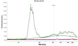 Histone H2AX, p Ser139 Antibody (3F2), Novus Biologicals 0.025 mg, Unconjugated:Antibodies,