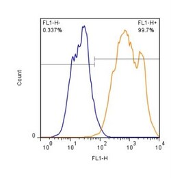 Gankyrin Antibody, Novus Biologicals:Antibodies:Primary Antibodies
