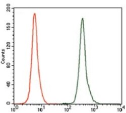 GCNF/NR6A1 Antibody (4G8) - BSA Free, Novus Biologicals:Antikörper:Primärantikörper