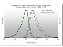 GFP Antibody, DyLight 488, Novus Biologicals 100ug; DyLight 488:Antibodies,