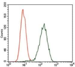 Glypican 3 Antibody (9C2) - BSA Free, Novus Biologicals 0.1mL; Unlabeled:Antibodies,