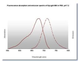 Goat anti-Chicken IgG (H+L) Secondary Antibody, DyLight 680 (Pre-adsorbed), Novus Biologicals™