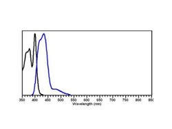 Goat anti-Rat IgM Heavy Chain Secondary Antibody, DyLight 405, Novus Biologicals&trade;
