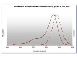 Goat anti-Rabbit IgG (H+L) Secondary Antibody, DyLight 800, Novus Biologicals&trade;