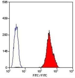 GP-IX Antibody (GRP-P), Novus Biologicals 100 Tests; Unconjugated:Antibodies,