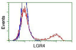 Lgr4/GPR48 Antibody (OTI2D1), Novus Biologicals 0.1mL; Unlabeled:Antibodies,